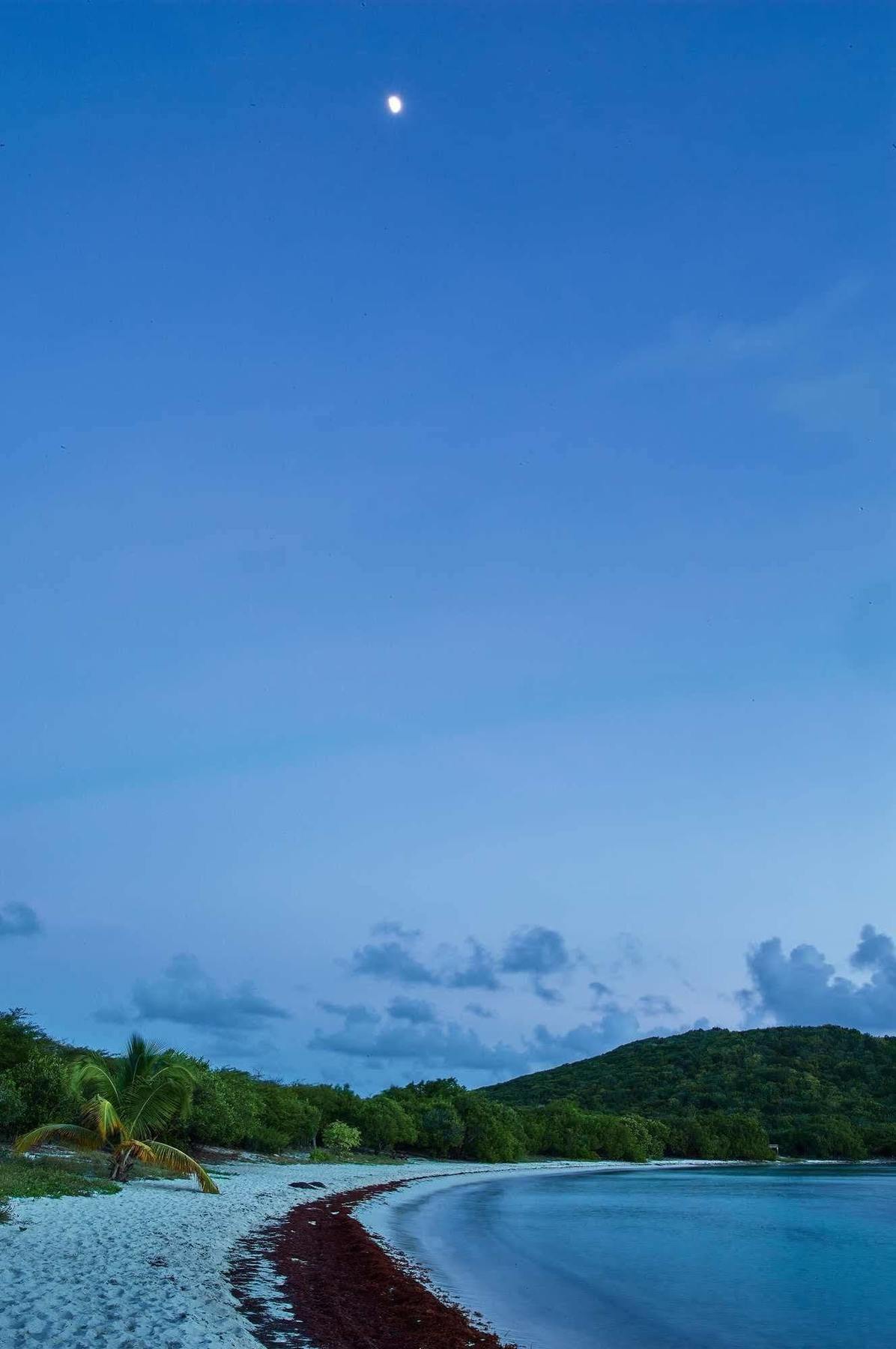 Concordia Eco Resort Bagian luar foto